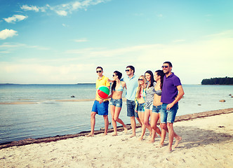 Image showing group of friends having fun on the beach