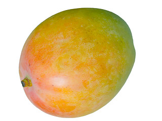 Image showing Mango