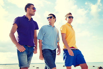 Image showing group of male friends walking on the beach