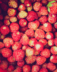Image showing Retro look Strawberries