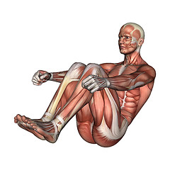 Image showing Male Anatomy Figure
