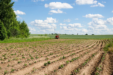 Image showing rural tractor plough potato plants in field 