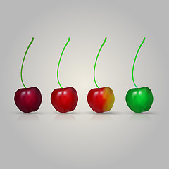 Image showing Illustration of four cherries