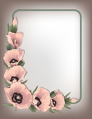 Image showing Pink poppies floral frame, vector