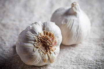 Image showing fresh garlic