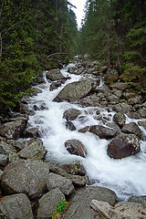 Image showing Creek