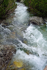 Image showing Creek