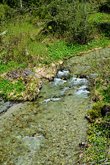 Image showing Creek