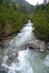 Image showing Creek