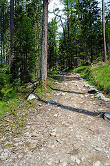Image showing Tourist Path