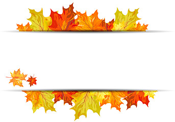 Image showing Autumn maple background