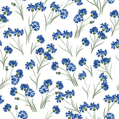 Image showing Seamless floral pattern