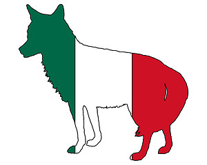 Image showing Coyote Mexico