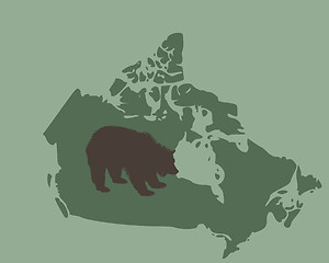 Image showing Grizzly bear in Canada