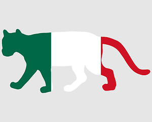 Image showing Cougar Mexico