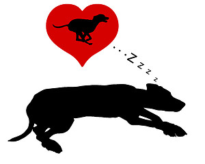 Image showing Dog dreams