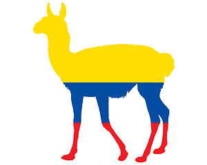 Image showing Guanaco Ecuador