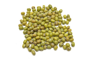 Image showing Sprouting mung bean