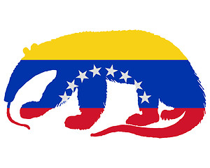 Image showing Anteater  Venezuela 