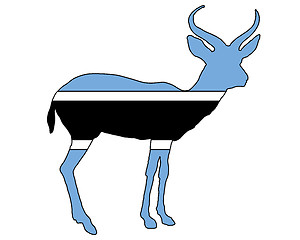 Image showing Botswana antilope