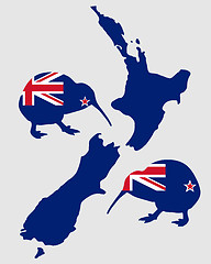 Image showing New Zealands kiwi