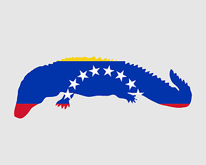 Image showing Caiman Venezuela