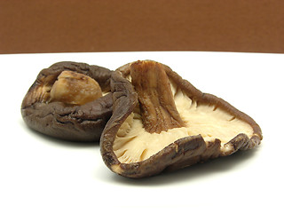 Image showing Shiitake on white plate and brown background