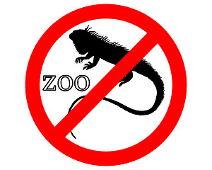 Image showing Iguana in zoo prohibited