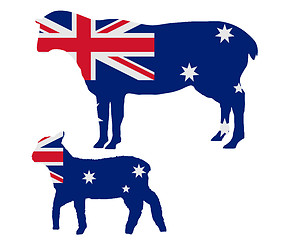 Image showing Australian sheeps