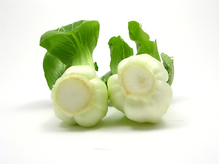 Image showing Pak choi arranged on a white background