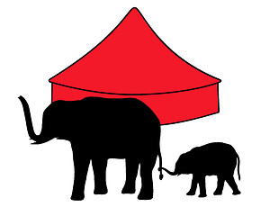 Image showing Elephants in circus 