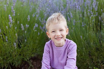 Image showing boy at lavender field