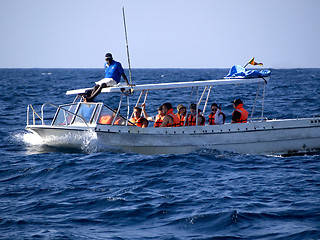 Image showing Whale watching at the Indian ocean