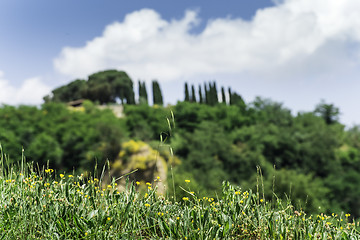 Image showing Tuscany landscape