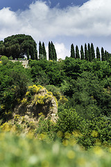 Image showing Tuscany landscape