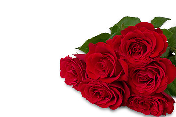 Image showing Bouquet of roses