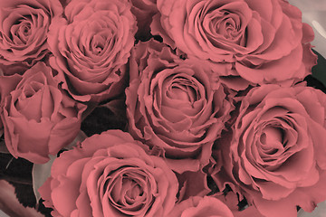 Image showing Bunch of roses