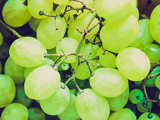 Image showing Retro look Grape picture