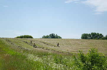 Image showing men half undressed manual rake hay in rural field 