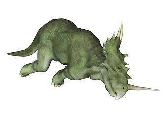 Image showing Dinosaur Styracosaurus