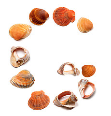 Image showing Letter G composed of seashells