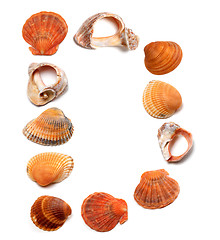 Image showing Letter D composed of seashells