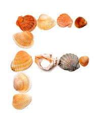 Image showing Letter F composed of seashells