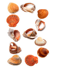 Image showing Letter B composed of seashells