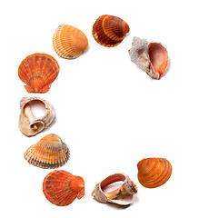 Image showing Letter C composed of seashells