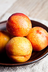 Image showing fresh nectarines with water drops in a plate 