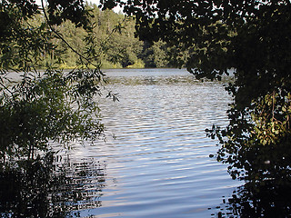 Image showing A view to a lake