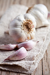 Image showing fresh garlic 