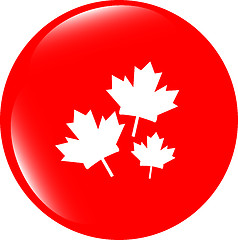 Image showing Maple leaf icon on web button