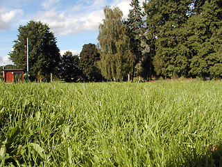 Image showing green field